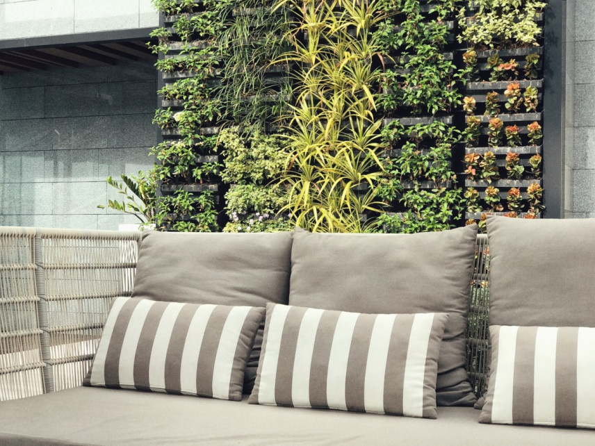 Wie man einen vertikalen Garten anlegt - eine grüne Wand, wie man sie anlegt?