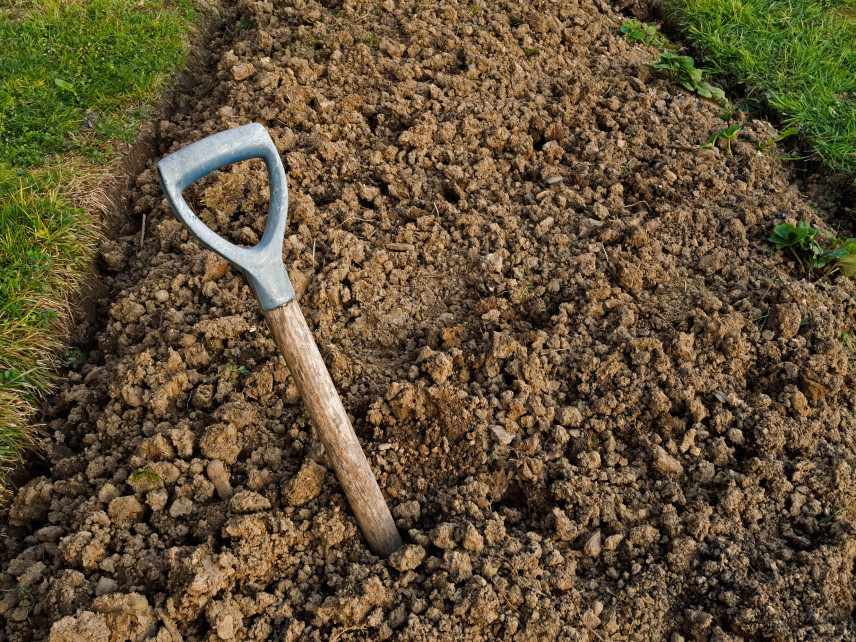 Wie düngt man Lehmboden - schwerer Boden, wie lockert man ihn?
