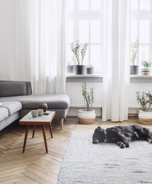 Wohnzimmer in einem Mietshaus mit grauen Accessoires