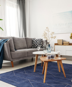 Wohnzimmer im Block mit Sofa und marineblauem Teppich