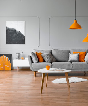Grau-orangefarbenes Wohnzimmer