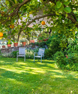 Entspannungsbereich im Garten