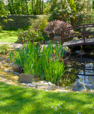 Teich mit Brücke