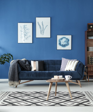Wohnzimmer mit einer blauen Wand